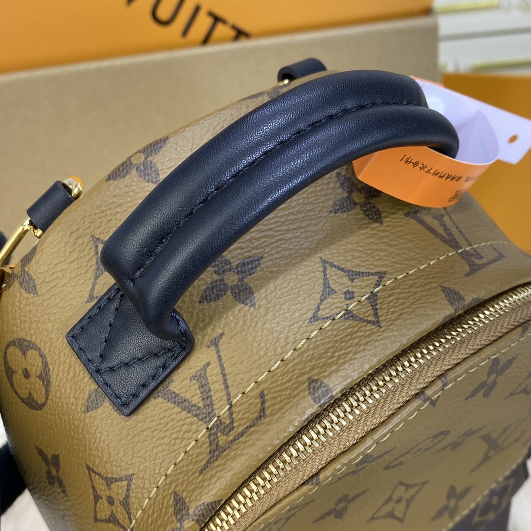 Louis Vuitton PALM SPRINGS MINI Backpack Monogram M44872